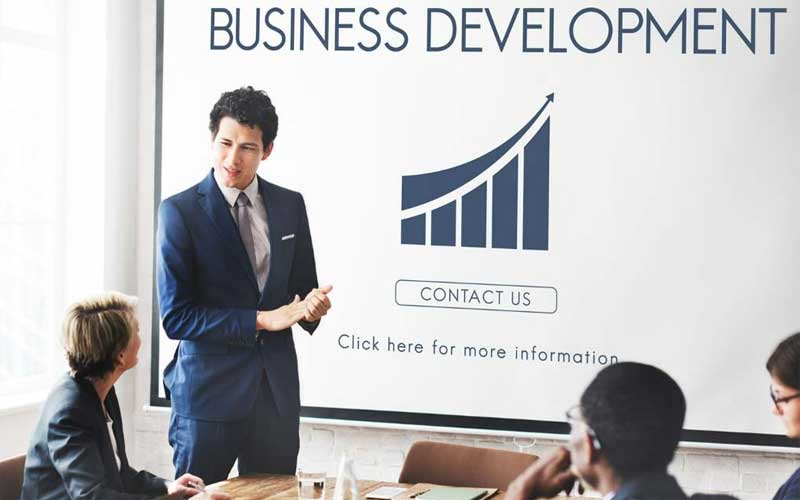 Guide for Business Development Manager